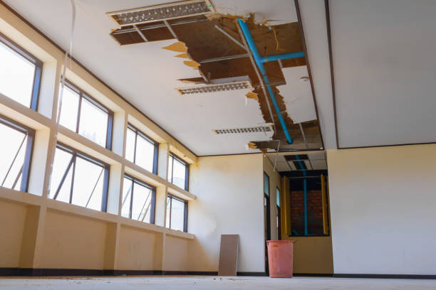 Best Water damage contractors near me  in New Buffalo, MI