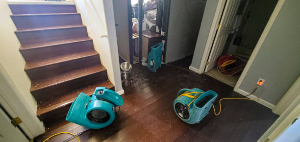  New Buffalo, MI Water damage restoration Pros
