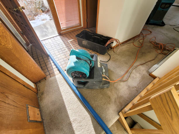 Best Flood damage cleanup  in New Buffalo, MI
