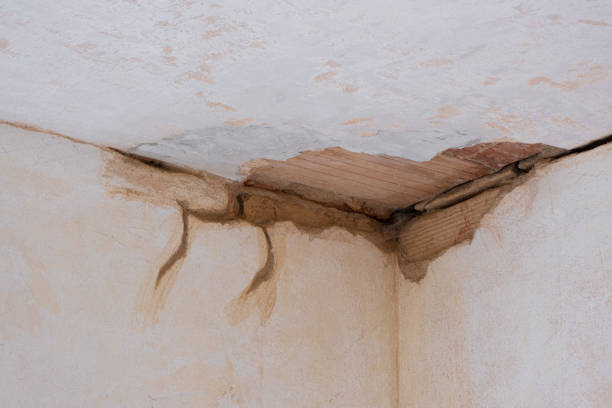 Best Fire Damage Restoration  in New Buffalo, MI