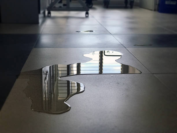 Best Water damage restoration near me  in New Buffalo, MI