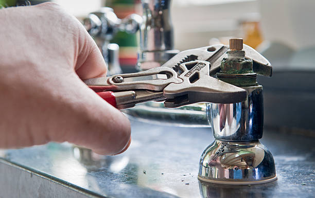 Best Flooded house restoration  in New Buffalo, MI