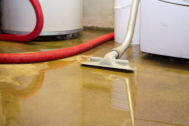 Local water damage restoration in New Buffalo, MI