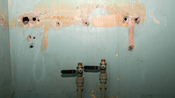 Best Water damage restoration experts  in New Buffalo, MI