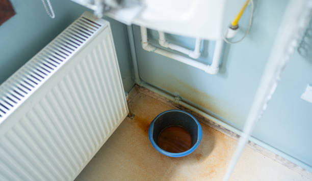 Best Water damage cleanup near me  in New Buffalo, MI