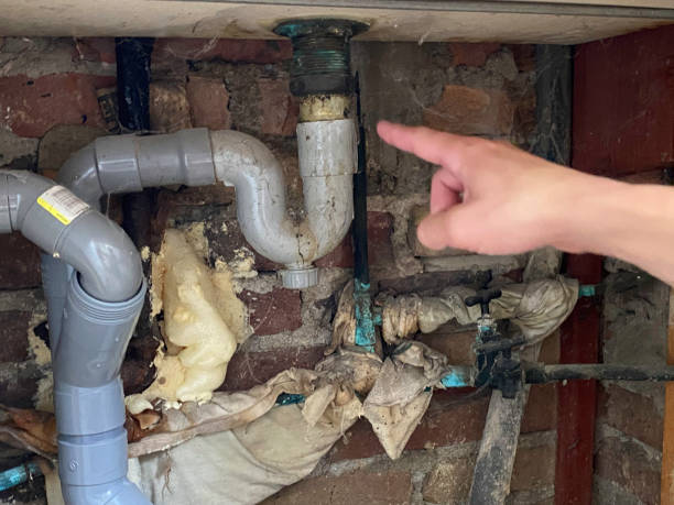 Best Flood restoration services  in New Buffalo, MI