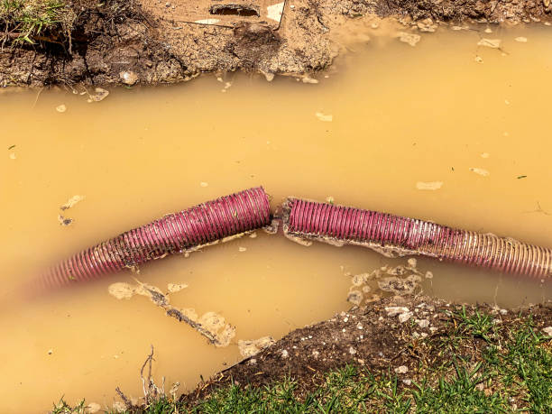 Best Water damage restoration near me  in New Buffalo, MI